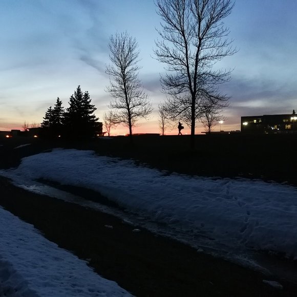 Meet your Posher, Henry - Picture 1 of 1